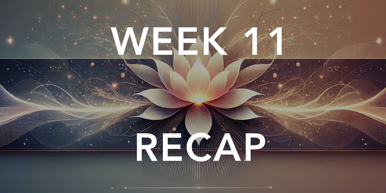 Fortune a Day - Recap - Week 11